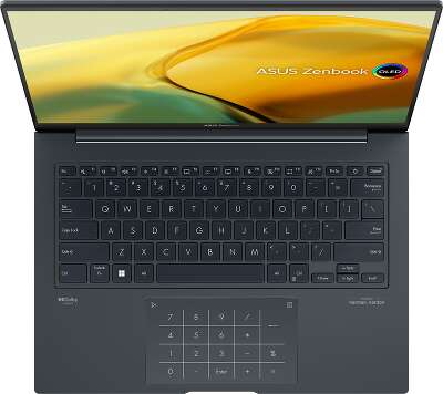 Ноутбук ASUS ZenBook 14X UX3404VC-M9134X 14.5" WQHD+ OLED i7-13700H/6/1Tb SSD/W11Pro серый